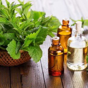 Best Ways To Use Peppermint Oil For Hair Growth